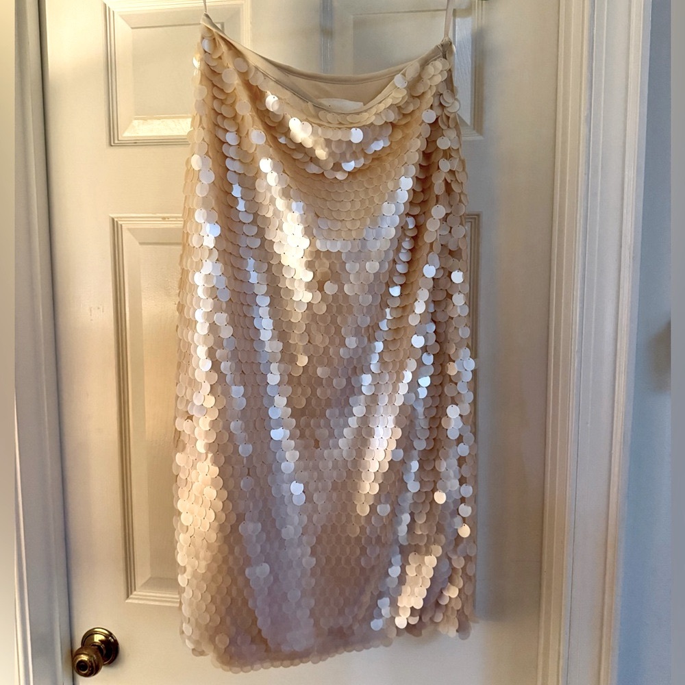 NWOT Anthropologie Cream Paillette Midi Skirt